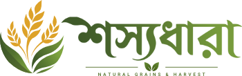 Natural | Grains | Harvest